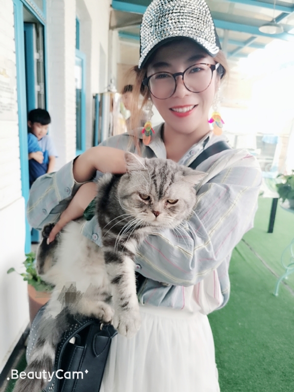 小黑猫的第一张照片--云霄交友网