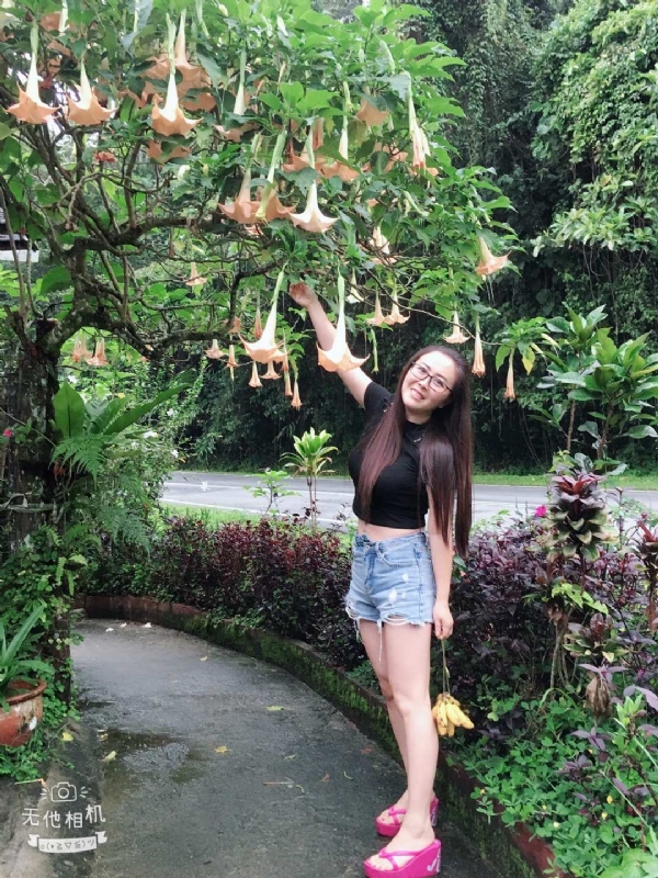 离异单身无子的第二张照片--云霄交友网