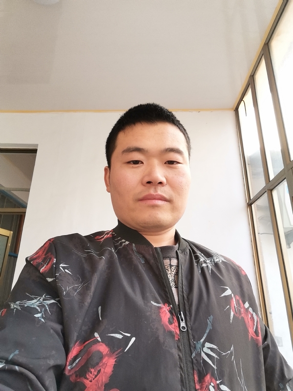 会飞的猪的第一张照片--云霄交友网