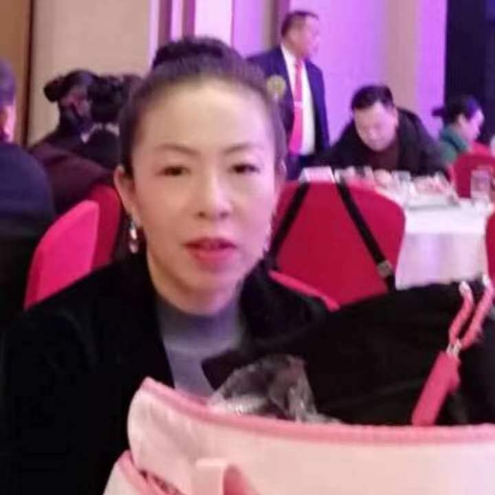 中秋桂花玉兔的第四张照片--云霄交友网